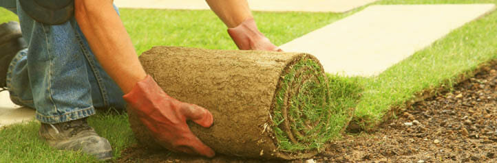 Landscaper laying sod on a lawn