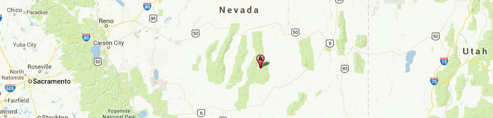 Nevada Answering Service