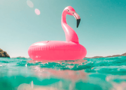 Floating Flamingo