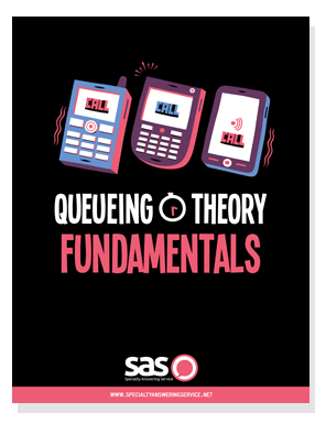 Queueing Theory in Call Centers