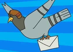 Pigeon Carrying A Letter